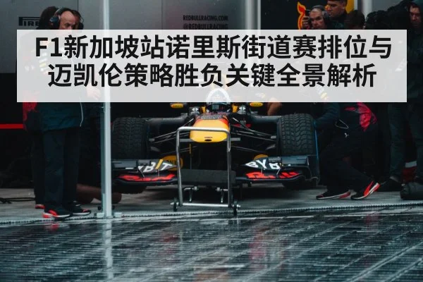 Formula 1 pit stop crew